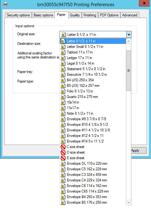 Selection of output options print and pdf